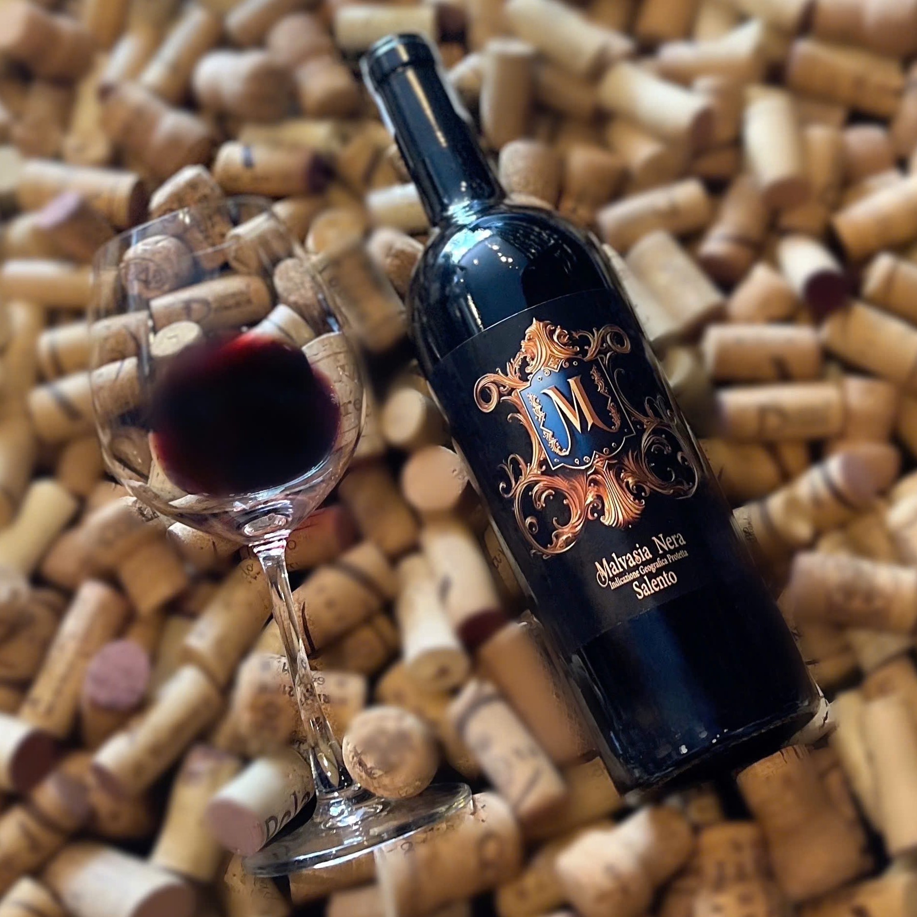 M - Malvasia Nera M - Malvasia Nera